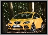 Seat Leon FR