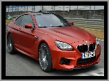 BMW M6, Coupe