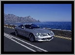 Mercedes SLR