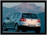 Volkswagen Golf 5, Srebrny